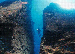 Beluga Diving Ltd