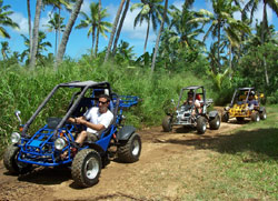 Kart Safaris