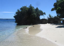 Luckies Beach Island Tours