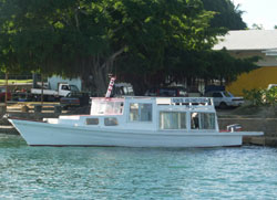 Sokis Island Tours