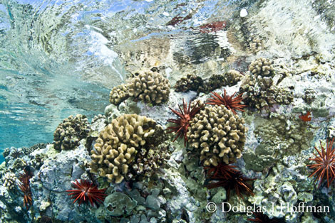 Photography by Award winning photographer Douglas J Hoffman