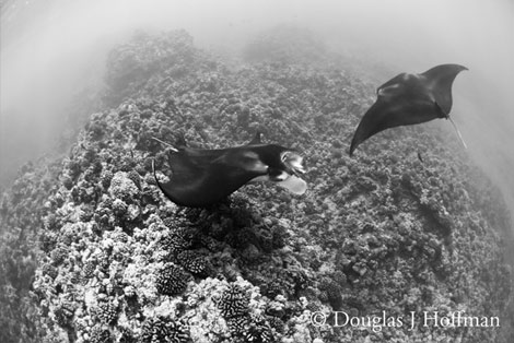 Photography by Award winning photographer Douglas J Hoffman