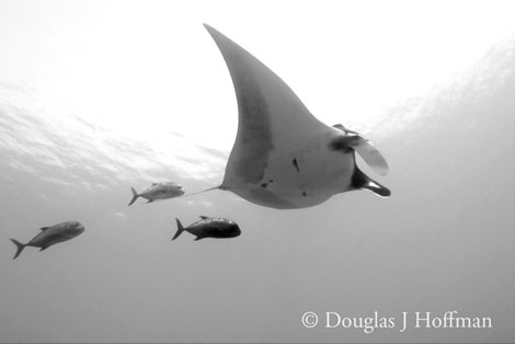 Photography by Award winning photographer Douglas J Hoffman
