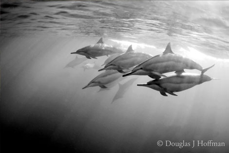 Photography by Award winning photographer Douglas J Hoffman