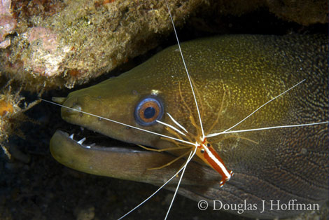 Photography by Award winning photographer Douglas J Hoffman