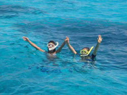 We can take groups to idylic remote Islands and the best secret snorkelling spots