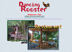 Dancing Rooster on Fatafehi Road, Vava'u, Tonga