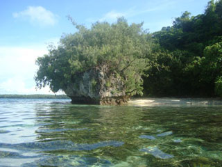 House for sale in Vava'u
