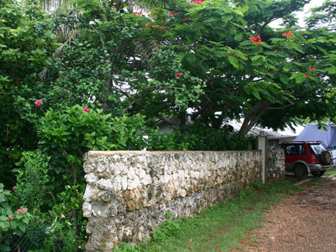 Holiday Home in Vava'u