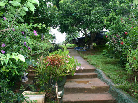 Holiday Home in Vava'u
