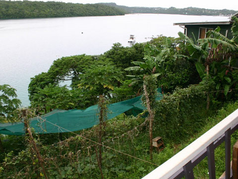 Holiday Home in Vava'u