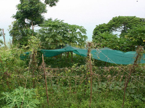 Holiday Home in Vava'u