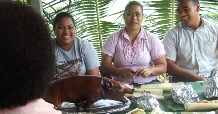 PORT OF REFUGE VILLAS in Vava'u Islands!